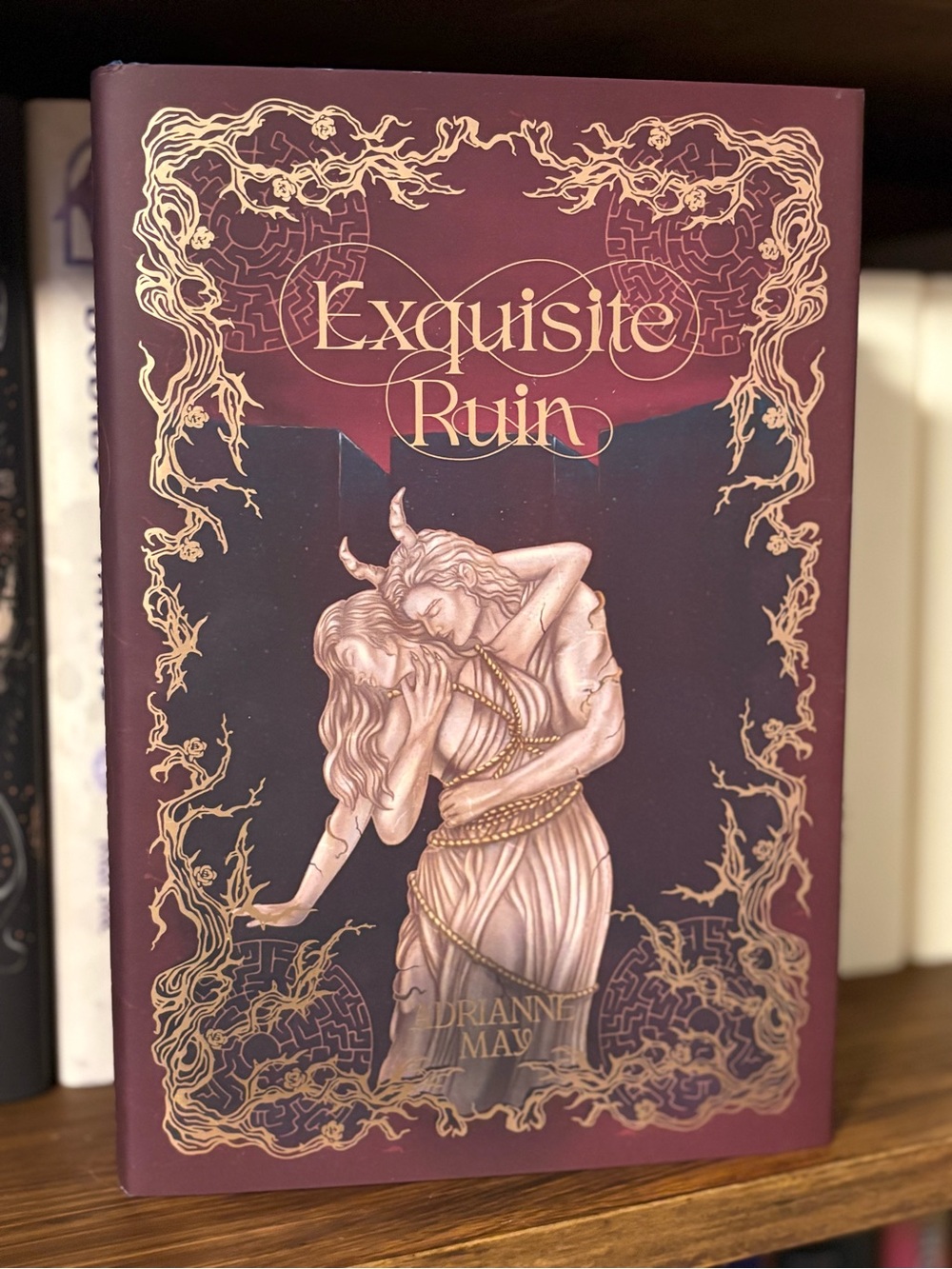 Owlcrate Exclusive Edition : Exquisite Ruin by Adrianne May